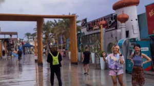 الأمطار تحول صحراء سيناء إلى واحة خضراء وتجذب السياح بمشاهد طبيعية نادرة